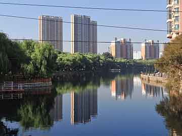 关于学习活动计划方案的信息